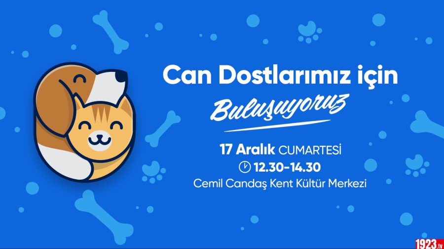 şişli belediyesi veteriner